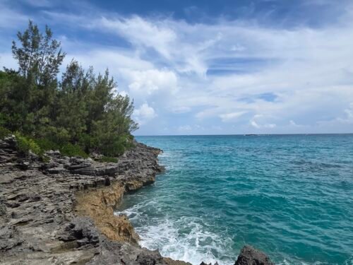 Bermuda-coopers-island-nature-reserve