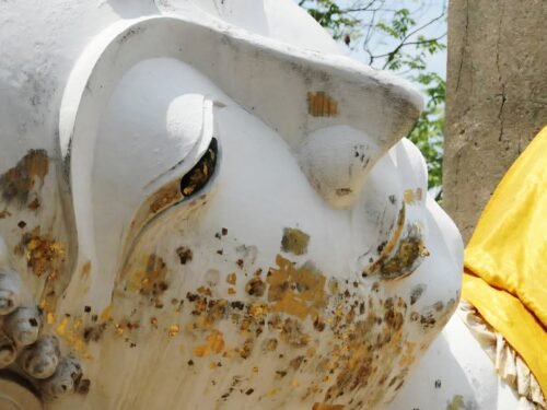 thailand-buddha